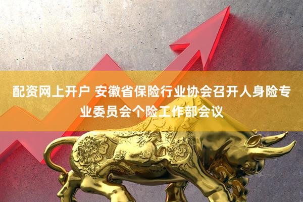 配资网上开户 安徽省保险行业协会召开人身险专业委员会个险工作部会议
